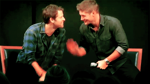 tumblr_inline_movgauwXlE1qz4rgp.gif