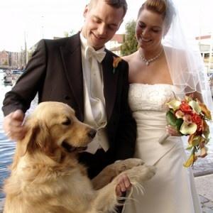 pets-in-wedding.jpg