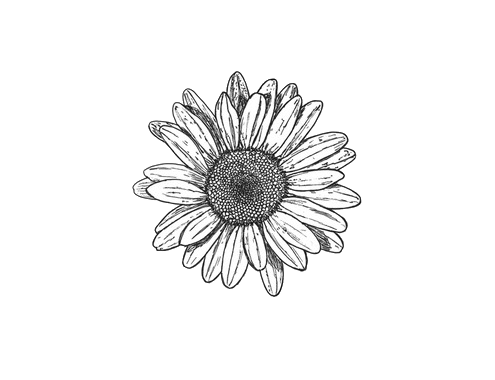 tumblr_minbh7OFwy1rl43djo1_500.png