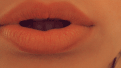 tumblr_mslbmm5Bpx1sh20ddo4_250.gif