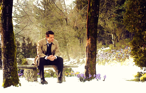 tumblr_mwcab3FBsp1ranexao1_500.gif