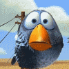 64561997_1285594360_post665251271749893.gif