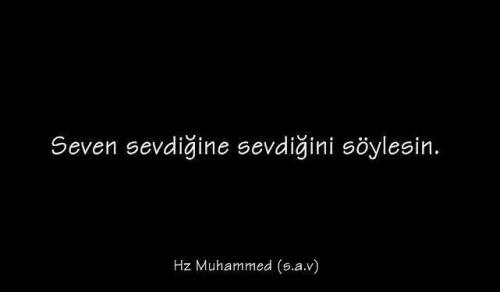 tumblr_mupp407G8V1sbpo3go1_500.jpg