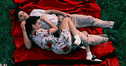 tumblr_lpj1hbpwHy1qgv10so4_250.gif