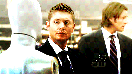 tumblr_lqsr1nSH2X1qbnf0uo1_500.gif