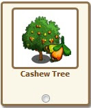 cashew.jpg