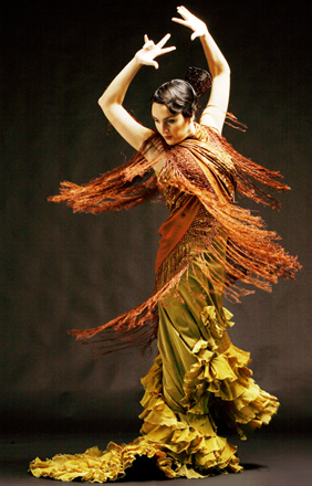 flamenco__7__1237787720.jpg