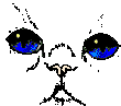 gesicht002.gif