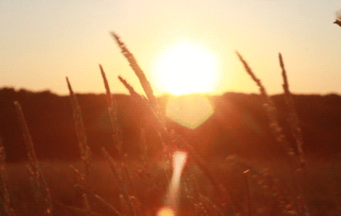 tumblr_mq73xxmXfb1qc517io1_500.gif