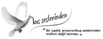 mwt6Q.png