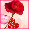 1036-027-09-1060.gif