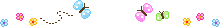 divider51.gif