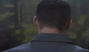 tumblr_m6qenvPA0H1r0e7v3.gif