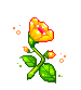 1146032auqngzi5ps.gif