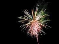 1858312xl0frgue9z.gif