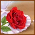 1036-027-11-1068.gif