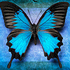 9193061.gif