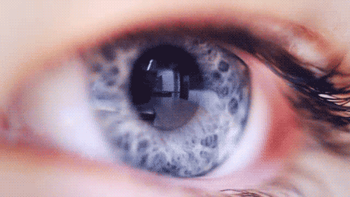 tumblr_mojvtez7m71sufx7no1_500.gif