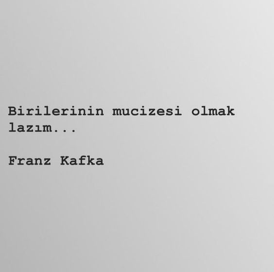 d2cc4b23de62574e785ebc912b643fcf.jpg