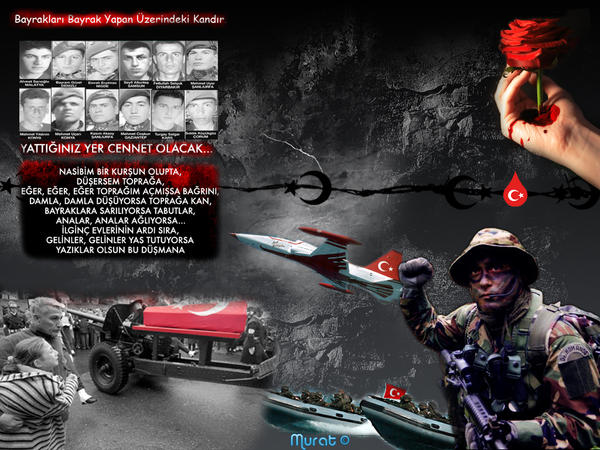 Sehitler_Olmez_Vatan_Bolunmez2_by_turkexe.jpg