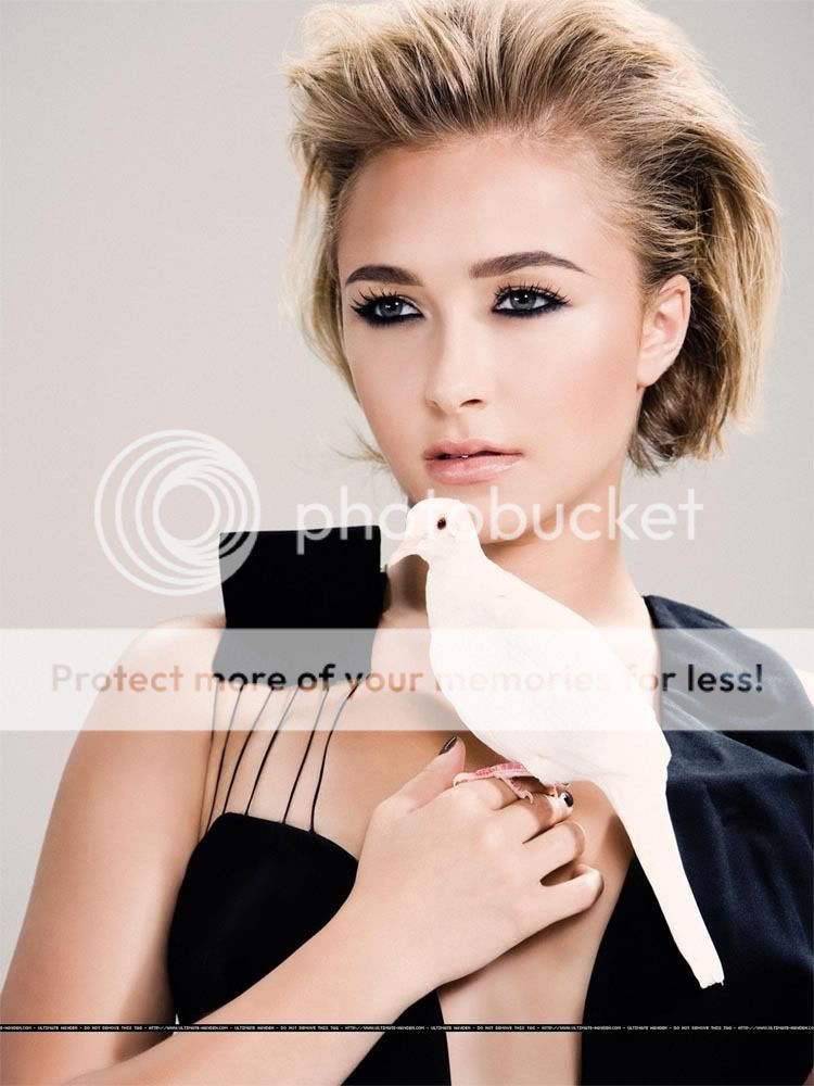 hayden-panettiere-prestige-photo-4.jpg