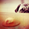 stock1007_by_kisuncha.png