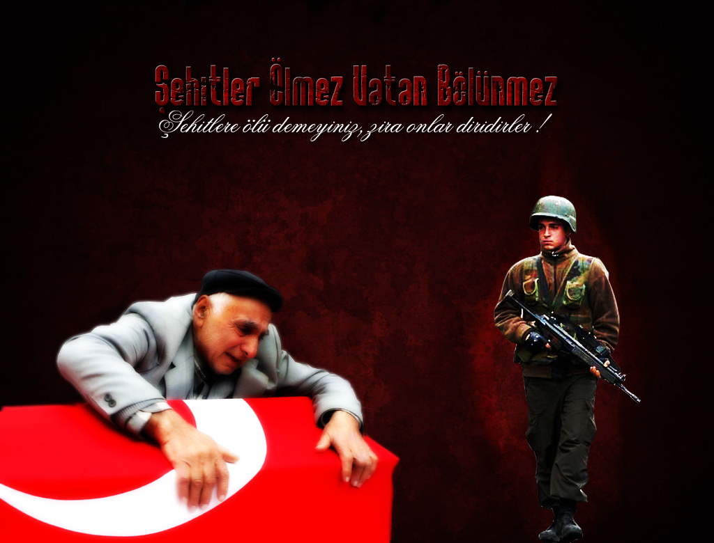Sehitler_Olmez_Vatan_Bolunmez_by_onurkaya.jpg