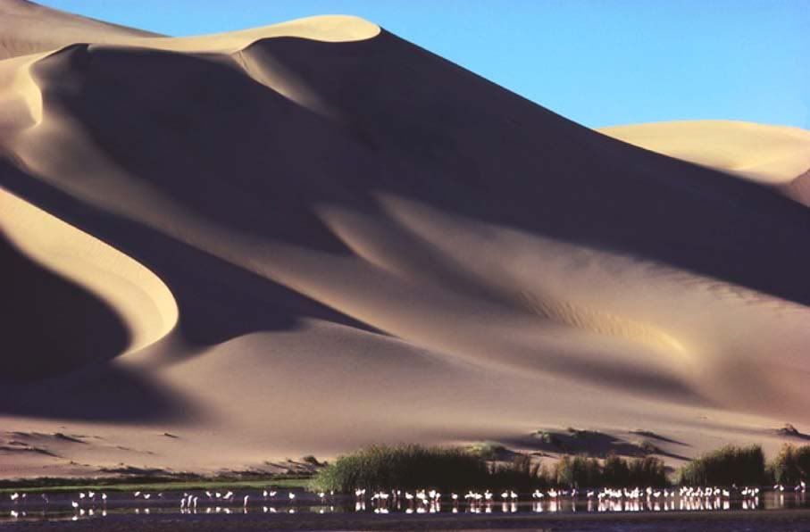 35Namibia.jpg