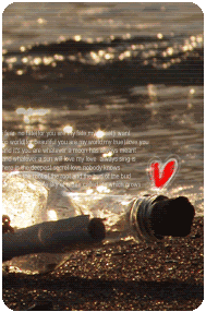 080317000037618.gif