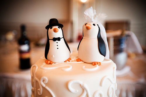cake-love-married-penguin-wedding-wedding-cake-Favim.com-57285.jpg