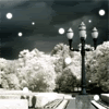 9.gif