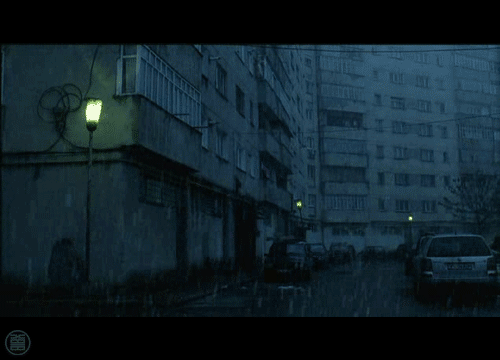 tumblr_mq03bx58IN1rpl095o1_r2_500.gif