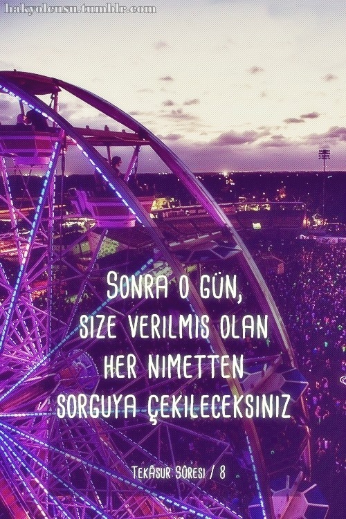 tumblr_n17g3pV41A1rhk166o1_500.jpg