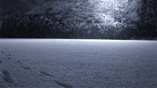 tumblr_mf9x49qpu01rm90mxo1_500.gif