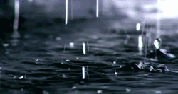 tumblr_m7wv1c4v251qjt4k8o5_250.gif