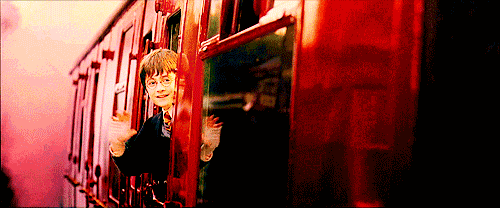 tumblr_loetllxRqp1qmyvlfo1_500.gif