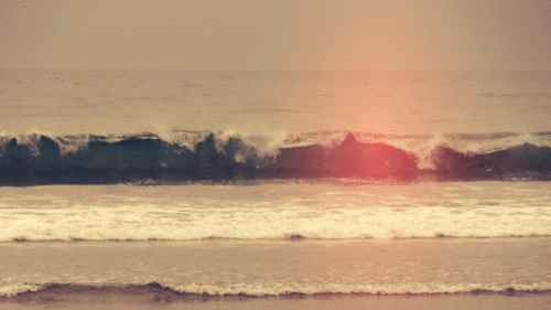 tumblr_mq3no895c41sz1v7co2_500.gif