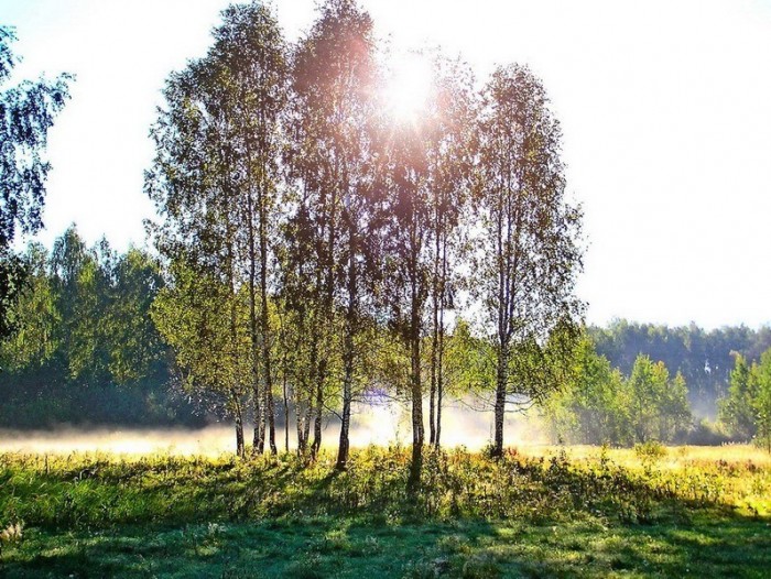 574509_12.jpg
