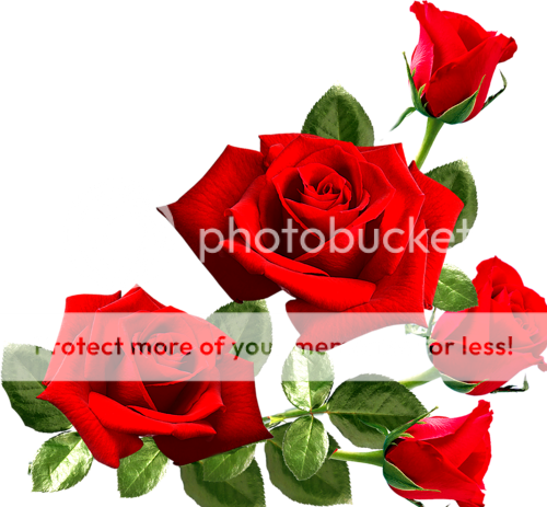 0_f5f46_eec9fa0f_L_zps7bce26e3.png