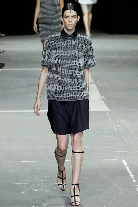 alexander-wang-yaz-2013-koleksiyonu-2616766.Jpeg