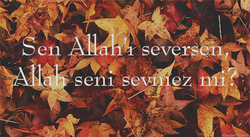 tumblr_oxe4riZw8L1qm1x85o6_500.gif