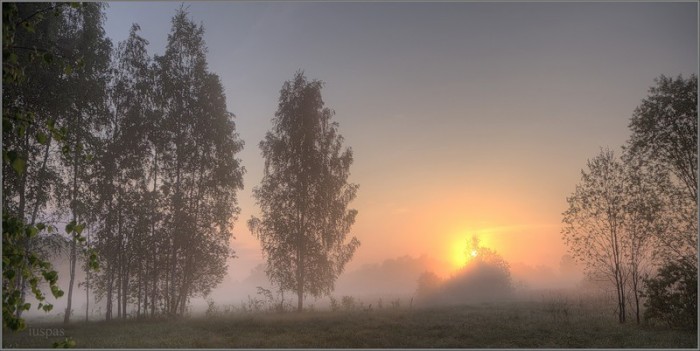 574537_40.jpg