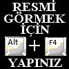 29.gif