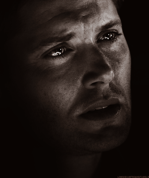 tumblr_lssxxrJSvA1qes5cio1_500.gif