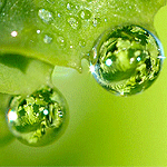 64560719_1285590705_dd4f6e2adf31.gif