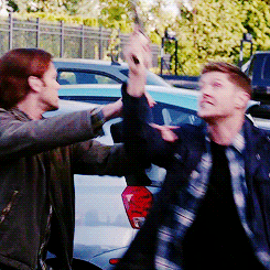 tumblr_n6auiobR4C1sfevheo3_250.gif