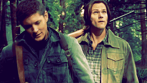 tumblr_luw795FsBn1r5z4sho1_500.gif