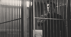 tumblr_macj06bAWD1r7bprho8_250.gif