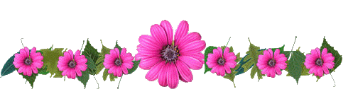 3860d65ee8_19661360_o2.gif