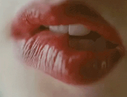 tumblr_mslbmm5Bpx1sh20ddo7_250.gif